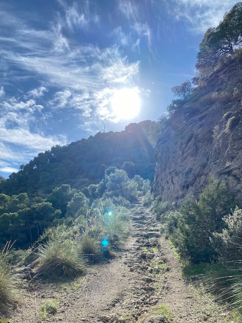 Ruta Senderista Cañada del Lobo
